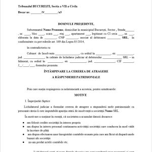 Întâmpinare la cerererea de atragere a răspunderii patrimoniale